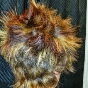 Meet your Posher, Vida